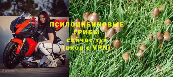 кокс Алексеевка