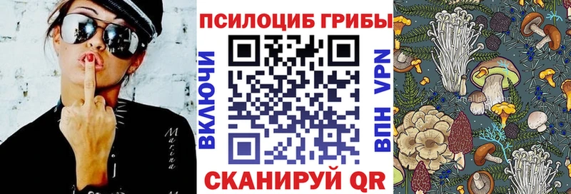 Купить закладки  Пионерский  Галлюциногенные грибы Magic Shrooms 