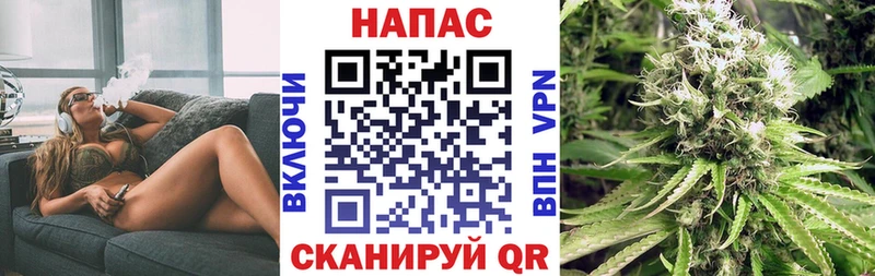 Конопля OG Kush  Купить закладки  Пионерский 
